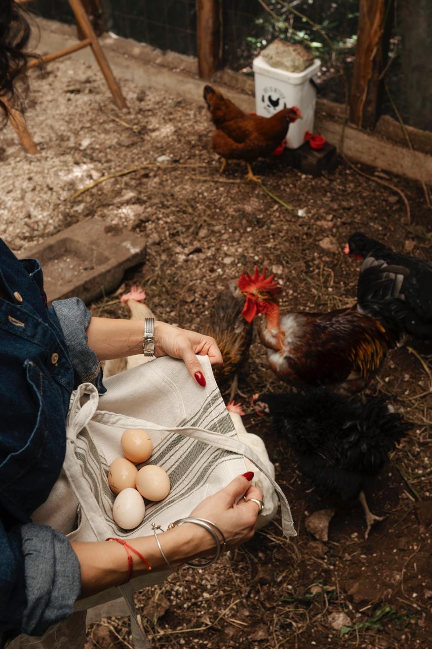 DELANTAL DE CINTURA ALGODÓN ESTAMPADO RAYAS OLIVE